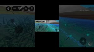 4630.mp4