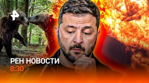 Ночь тотального разгрома / Медвежий террор / Отец года / РЕН Новости 8:30, 20.08.26