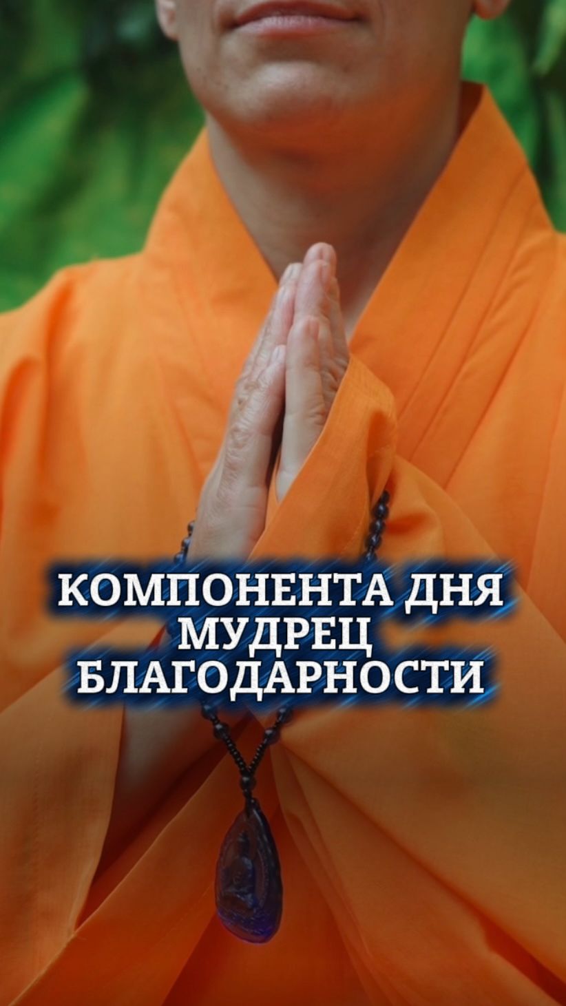 Компонента дня 