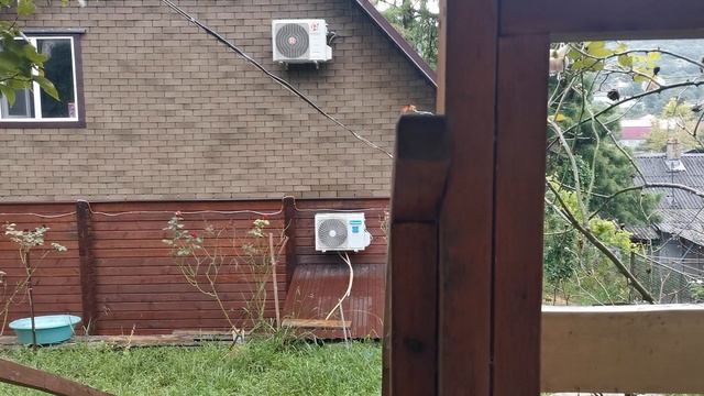 СОЧИ ГОРНОЕ ЛОО УТРО 20.08.2026