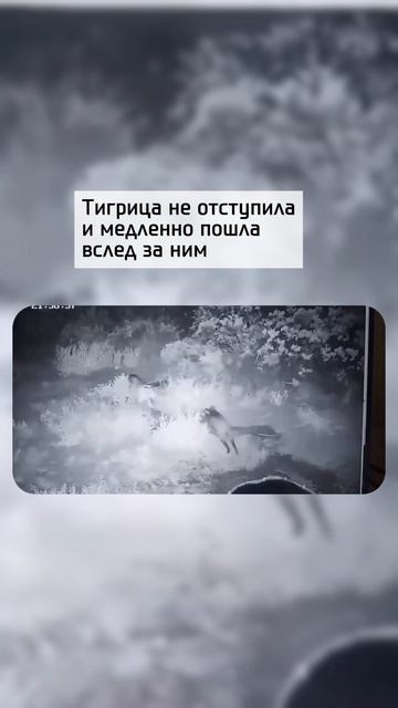 Первый урок дикой природы?