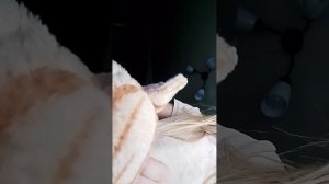 влог с тахиром дома