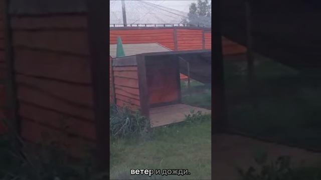 2.Субтитры.Гимн Любви Шархан и КиараТекстВалентин.ВидеорядСветлана.Подборка роликов-ЕленаМузыка-ИИ.