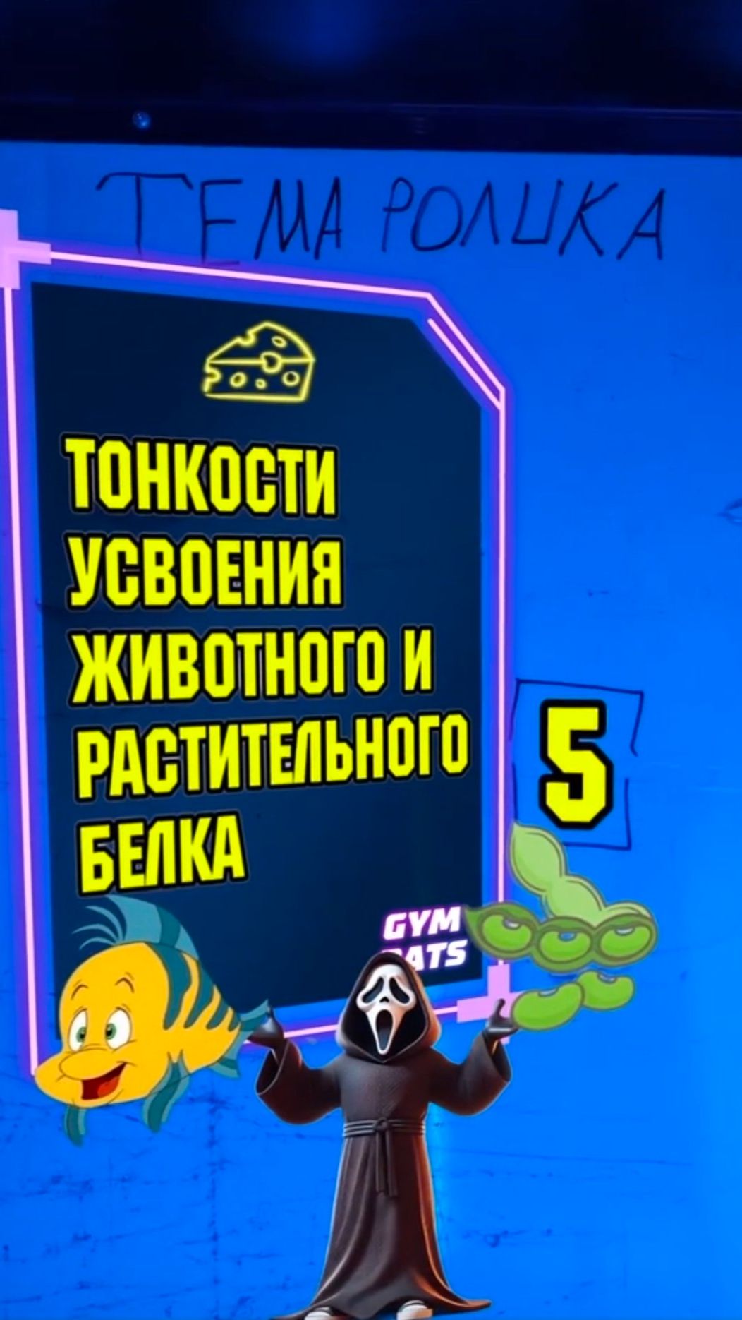 Как усваивается животный и растительный белок