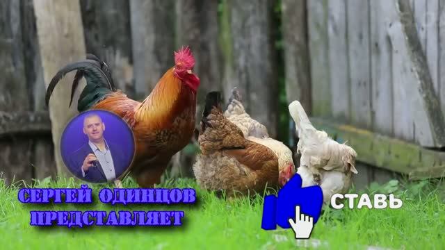 Популярные видео
