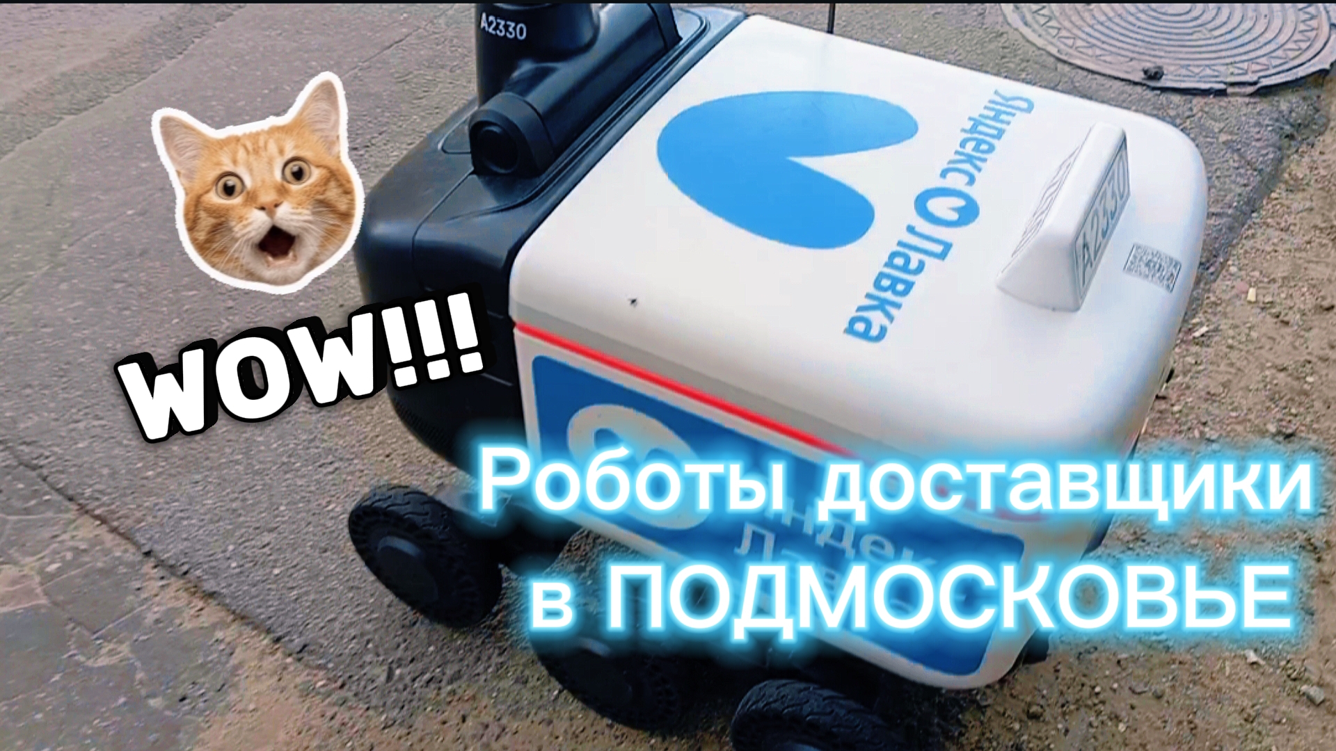 РОБОТЫ🤖 ДОСТАВЩИКИ В Подмосковье!!!!??  (Город Балашиха)