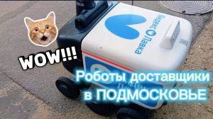 РОБОТЫ🤖 ДОСТАВЩИКИ В Подмосковье!!!!??  (Город Балашиха)