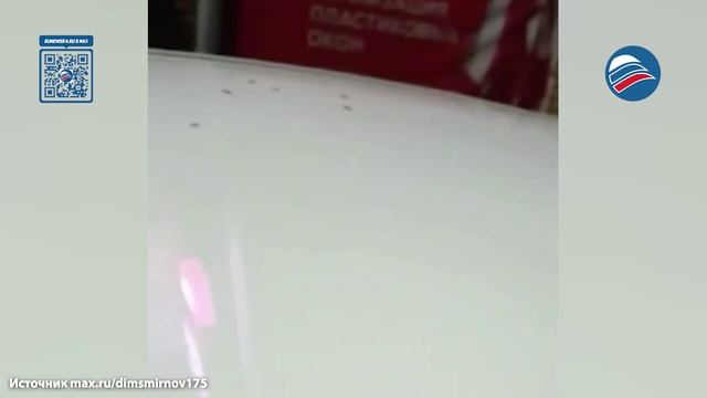 Полчища насекомых атаковали дома и машины в Ханты-Мансийске