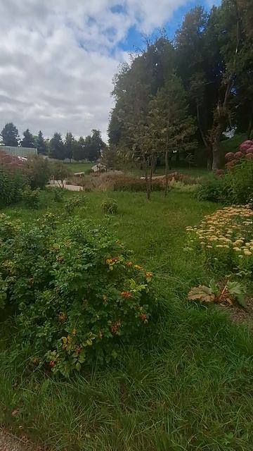 тихая прогулка по парку Дубровицы Подольск