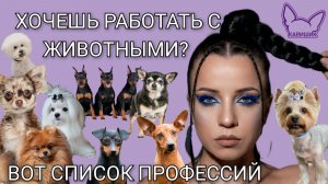 Обзор профессий для собачников