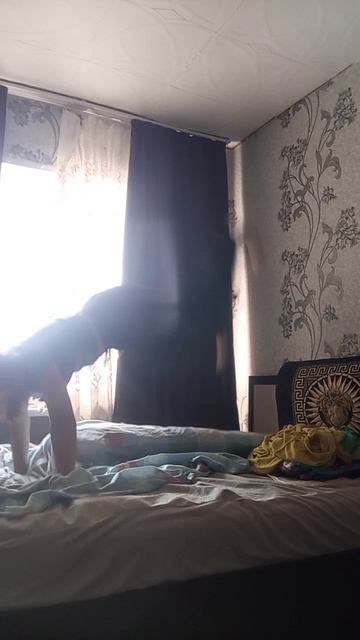 название съела Кири(маска в которой я снимала)