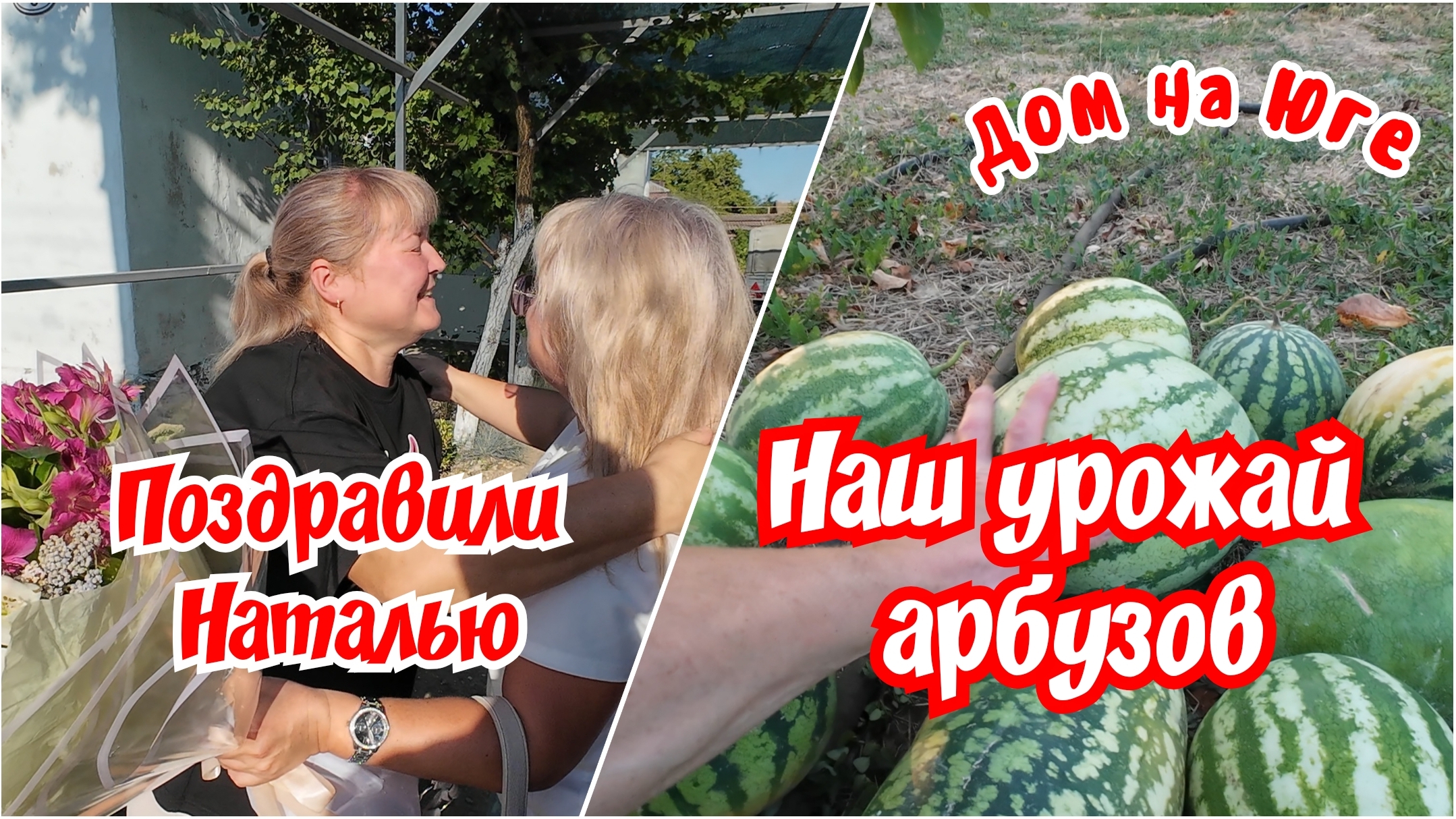 Дом на Юге. Наш урожай арбузов. Поздравили Наталью.