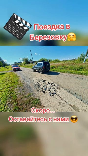 Березовка в объективе 🎬