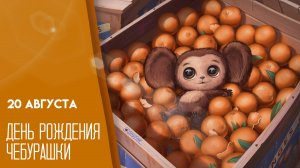 20.08.26 - День Рождения Чебурашки