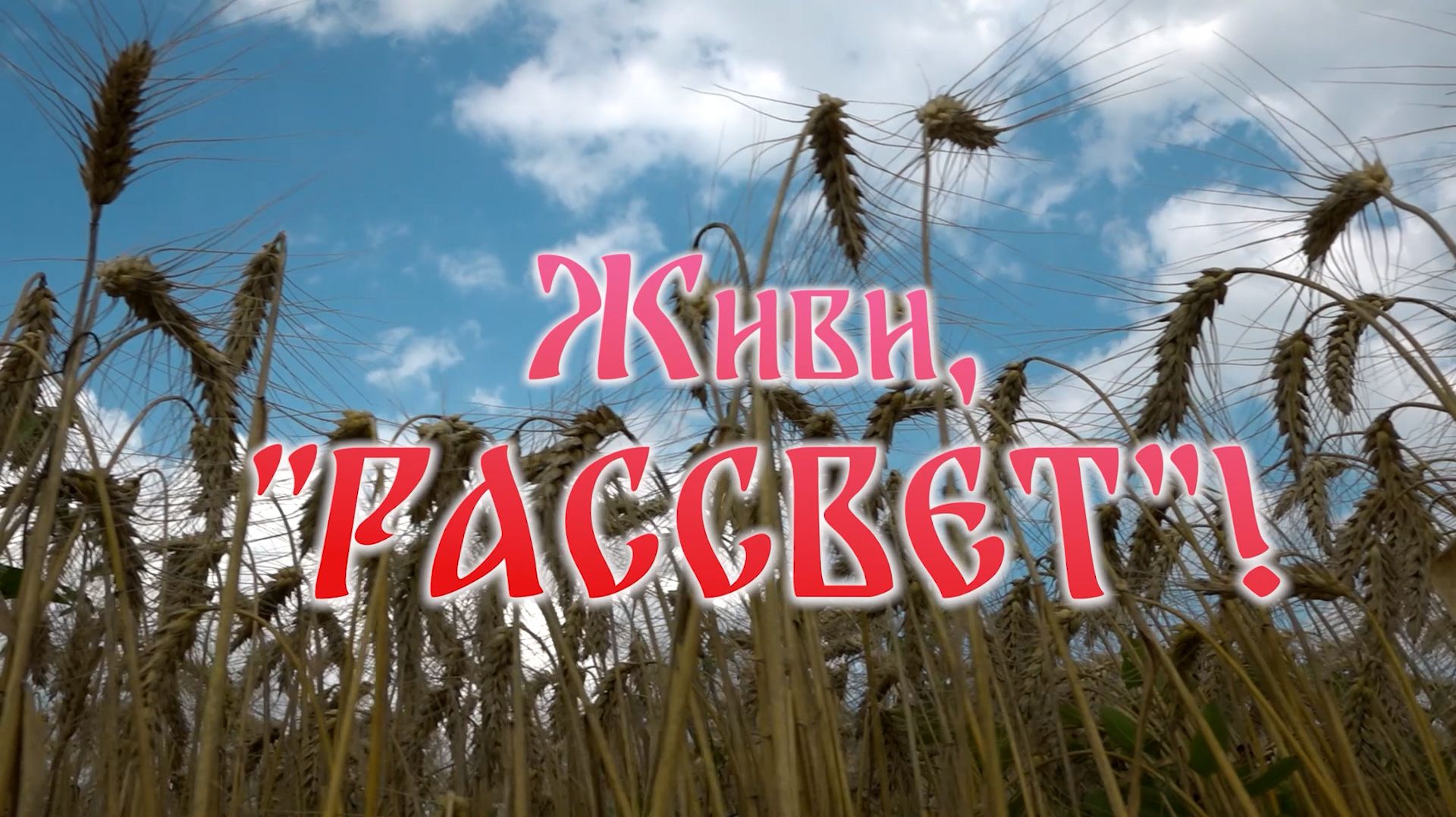 Юбилейные итоги и новые горизонты: как ОАО «Рассвет» встречает свое 70-летие
