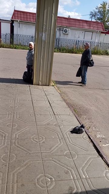 Я нахожусь вот тут