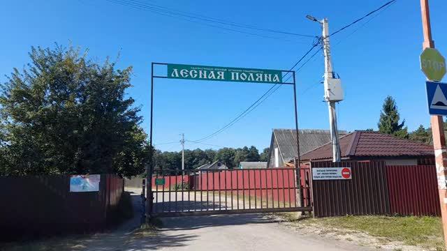 СНОВА НА ДАЧЕ - ОТЛИЧНЫЙ УРОЖАЙ ФАСОЛИ