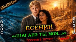 Творцы эпохи. Сергей Есенин «Шагане,ты моя Шаганэ.»