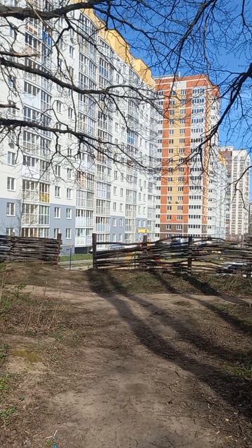 Омар Хайям мудрость о людях #омархайям #мудрость Вид на город из леса #бродяга #прогулка #природа