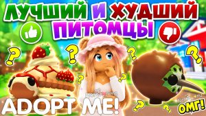 ЛУЧШИЙ И ХУДШИЙ ПИТОМЦЫ СРАЗУ В АДОПТ МИ?😍😡НОВОЕ ОБНОВЛЕНИЕ!👀НОВЫЕ ФУНКЦИИ ИНВЕНТАРЯ?😱ADOPT ME