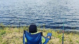 Как ловить Карпа на платниках и в чём отличие от обычных водоемов?