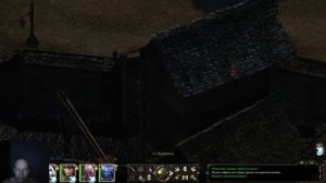 Pillars of Eternity: Разборки в публичном доме