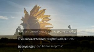 Принтеры могут и не такое