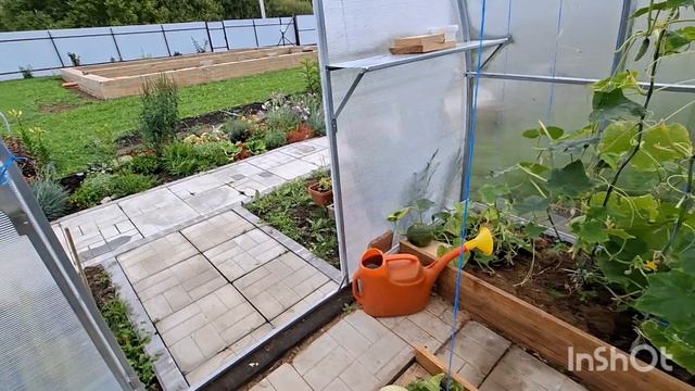 Наши 8,4 сотки 🏡 Одна на участке. Собрала урожай томатов🍅🍅🍅Выкинула ненужную кензу🤷♀️