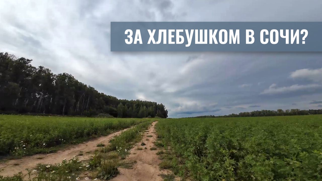 Эффект возвращения: почему после путешествия включается «режим бога»