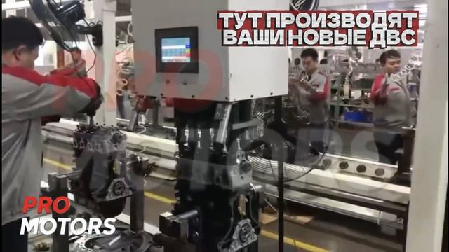 19116305025695