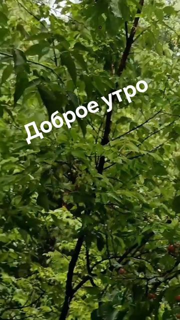 С добрым утром!