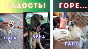 Кто-то счастлив, кто-то умирает, не дождавшись...