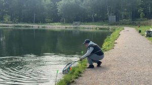 Поимки форели на водоеме