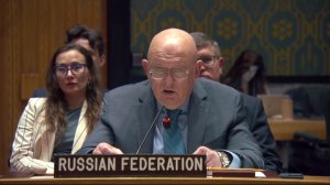 Постоянный представитель В.А.Небензя в СБ ООН по тематике его рабочих методов, 19 августа 2026