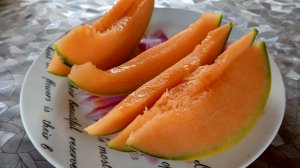 Дыня 🍈. Первый сбор 2026