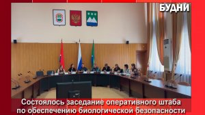 В Белогорске действует карантин по бешенству животных