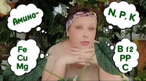 ВСЕ О ПИТАНИИ РАСТЕНИЙ.