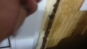 мы сбегаем от Влада а4