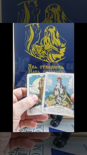 Совет дня🐸#татьянаясная