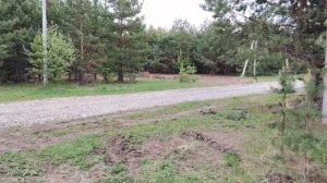 15 мая 2026 - участок 765. Снятие растительного слоя.