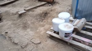 Строй двор, осваиваюсь на новом месте