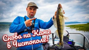 Рыбалка с гидом на Каме: судак, жерех, окунь и море эмоций!