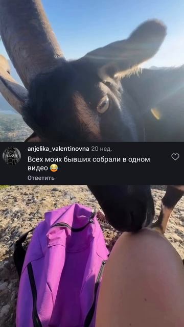Козлы.Комментарии как отдельный искусства.