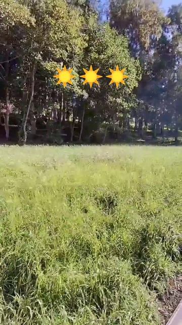 лето летнее☀️
