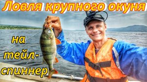 ЖОР КРУПНОГО ОКУНЯ НА ВОЛГЕ/РЫБАЛКА НА ТЕЙЛ-СПИННЕР/ЛОВЛЯ ОКУНЯ НА СПИННИНГ/РЕКА ВОЛГА,САМАРСКАЯ ОБЛ