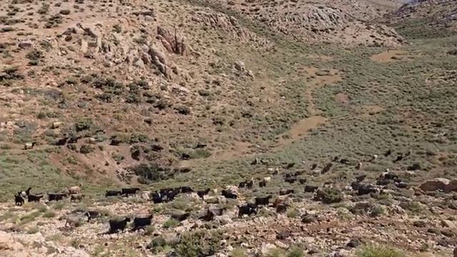 Иранская семья живёт в горах и смеётся нат трампом.