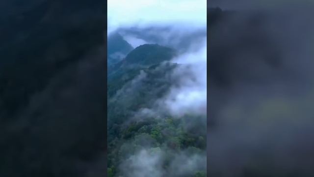 Очень красивая и разнообразная природа.