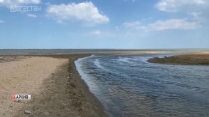 Задержан за хранение краснокнижной рыбы