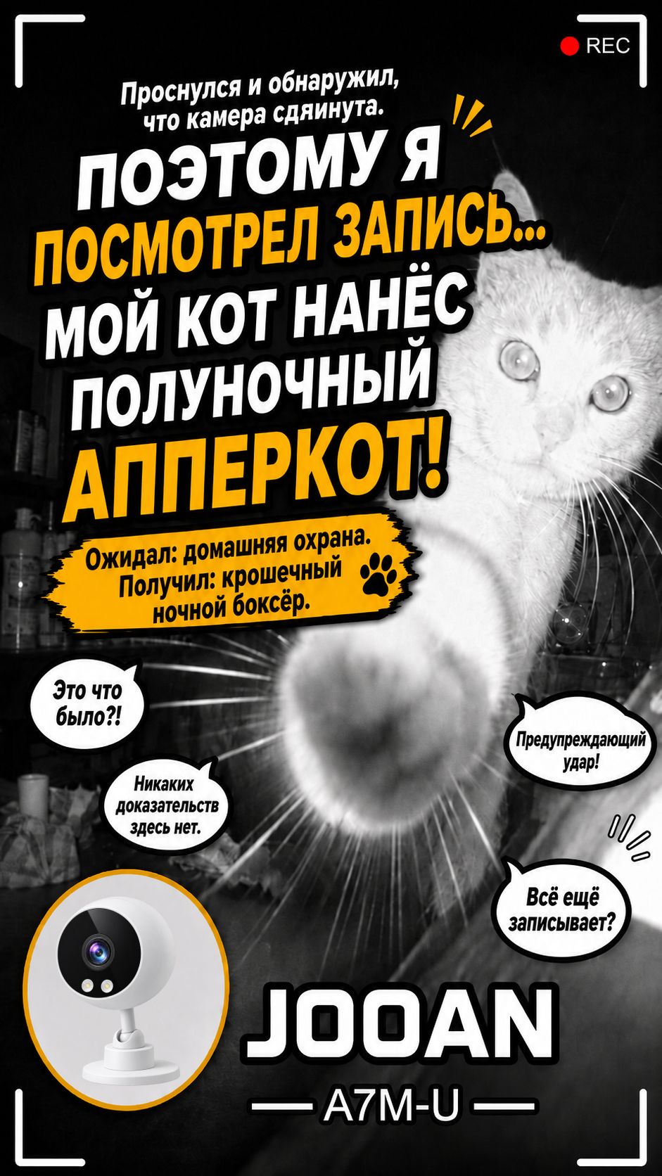Утренний сюрприз: оказалось ночью мой кот нанёс камере неожиданный удар. 