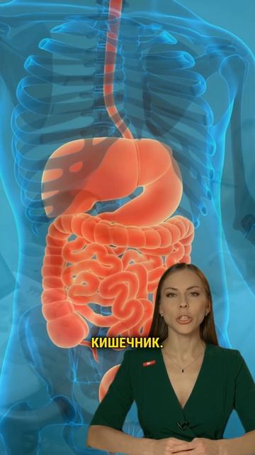 20-дав-киш-чт5-RU